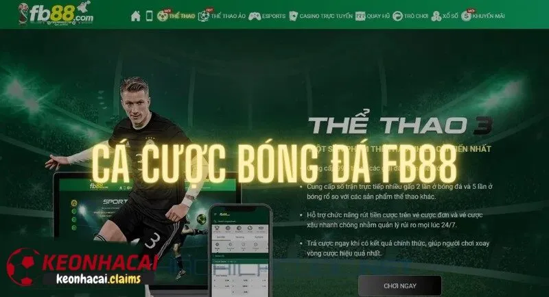 Các sản phẩm và dịch vụ cá cược có tại FB88