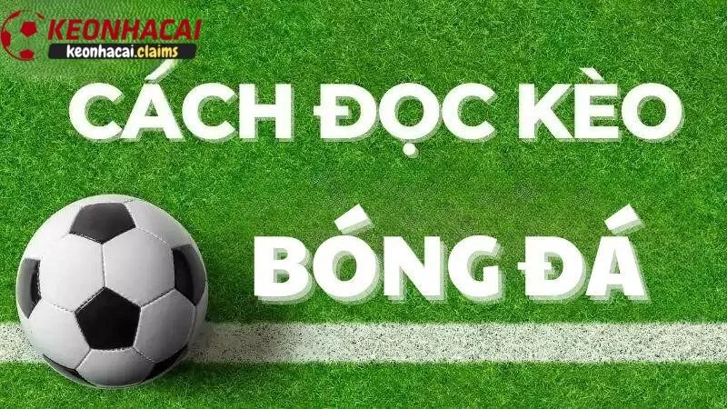 Cách đọc và hiểu về tỷ lệ kèo nhà cái hiệu quả