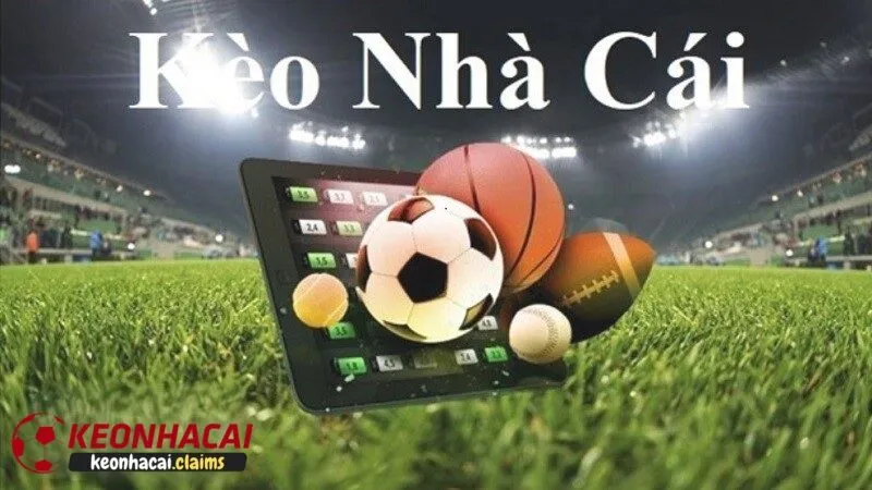 Giới thiệu sơ lược về kèo nhà cái