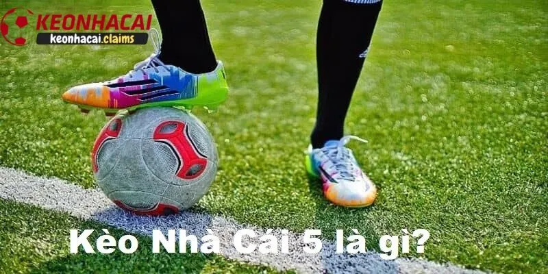 Giới thiệu về Kèo Nhà Cái 5 và Tầm quan trọng của Dự Đoán Tỷ Lệ Kèo Nhà Cái 5