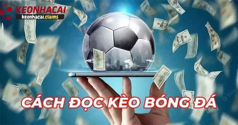 Hướng dẫn đọc và hiểu về tỷ lệ kèo nhà cái